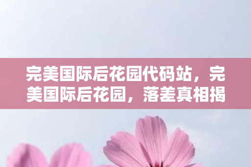 完美国际后花园代码站，完美国际后花园，落差真相揭秘，笑着笑着，泪水却悄然滑落
