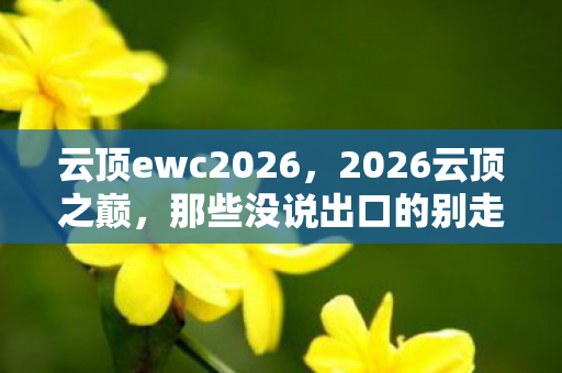云顶ewc2026,2026云顶之巅,那些没说出口的别走,成了我鼻子一酸的伏笔 云顶ewc2026,2026云顶之巅,那些没说出口的别走,成了我鼻子一酸的伏笔