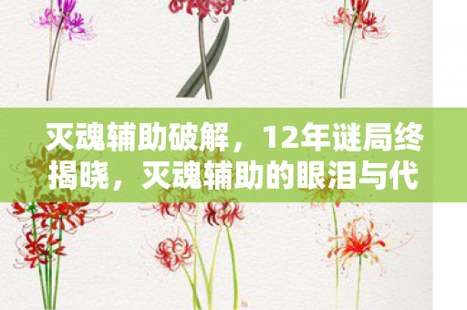 灭魂辅助破解,12年谜局终揭晓,灭魂辅助的眼泪与代码 灭魂辅助破解,12年谜局终揭晓,灭魂辅助的眼泪与代码