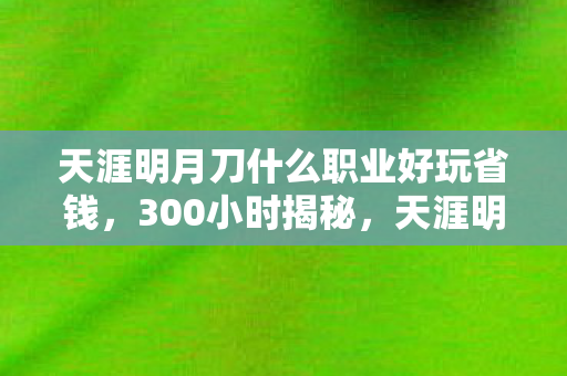 天涯明月刀什么职业好玩省钱，300小时揭秘，天涯明月刀职业谜局，泪目真相竟藏在这串死亡代码里