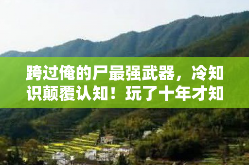跨过俺的尸最强武器，冷知识颠覆认知！玩了十年才知跨过俺的尸体竟藏着目瞪口呆的真相