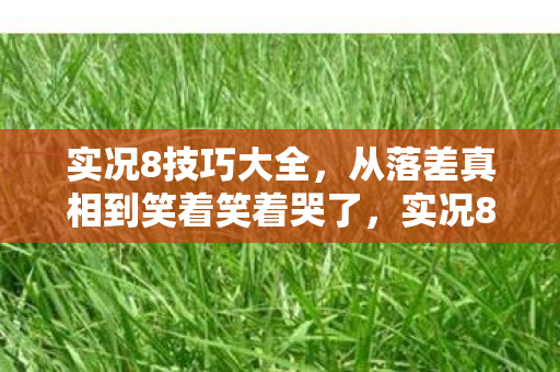 实况8技巧大全,从落差真相到笑着笑着哭了,实况8里我戒不掉的荒诞人生 实况8技巧大全,从落差真相到笑着笑着哭了,实况8里我戒不掉的荒诞人生