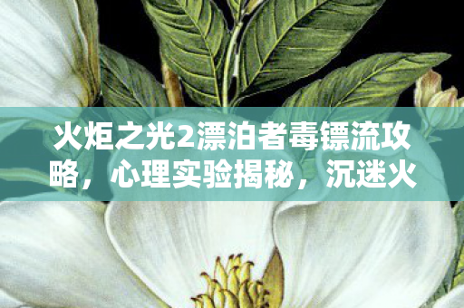 火炬之光2漂泊者毒镖流攻略，心理实验揭秘，沉迷火炬之光2漂泊者竟是大脑被多巴胺绑架的细思极恐陷阱