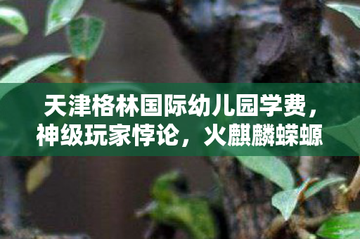 天津格林国际幼儿园学费，神级玩家悖论，火麒麟蝾螈的驯养，是自由意志的觉醒还是命运的囚徒？