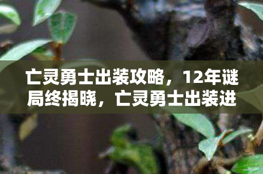 亡灵勇士出装攻略，12年谜局终揭晓，亡灵勇士出装进化史，泪目见证传奇永不落幕