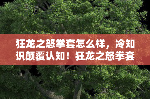 狂龙之怒拳套怎么样，冷知识颠覆认知！狂龙之怒拳套竟藏着目瞪口呆的秘密