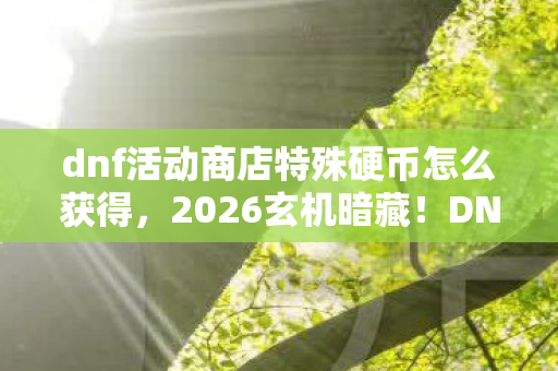 dnf活动商店特殊硬币怎么获得，2026玄机暗藏！DNF特殊硬币沉默背后，藏着多少玩家未解之谜？