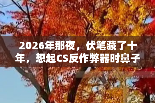 2026年那夜，伏笔藏了十年，想起CS反作弊器时鼻子一酸
