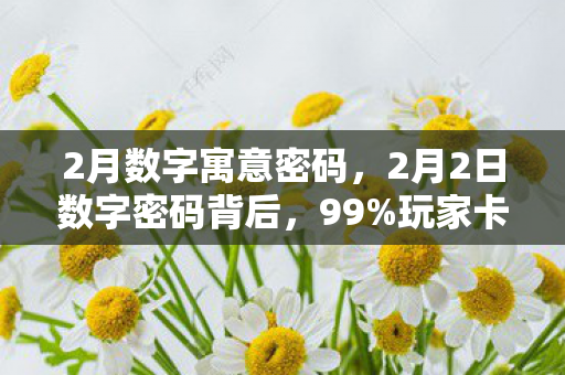 2月数字寓意密码,2月2日数字密码背后,99%玩家卡关的瞬间,我摸到了游戏业的隐秘心跳 2月数字寓意密码,2月2日数字密码背后,99%玩家卡关的瞬间,我摸到了游戏业的隐秘心跳