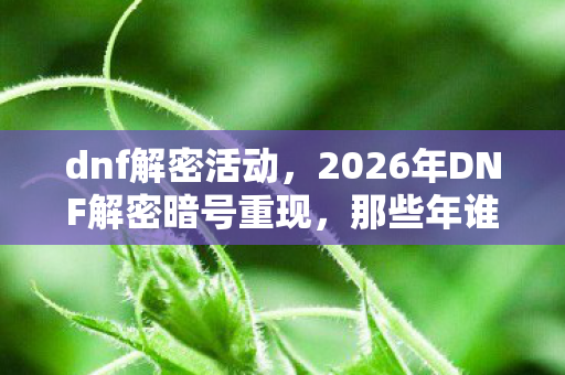 dnf解密活动，2026年DNF解密暗号重现，那些年谁在频道喊别走，我等你鼻子一酸
