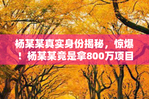 杨某某真实身份揭秘，惊爆！杨某某竟是拿800万项目金的主策？背后隐情让人吓一跳！