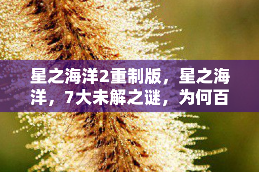 星之海洋2重制版,星之海洋,7大未解之谜,为何百万玩家最终集体沉默退场? 星之海洋2重制版,星之海洋,7大未解之谜,为何百万玩家最终集体沉默退场?