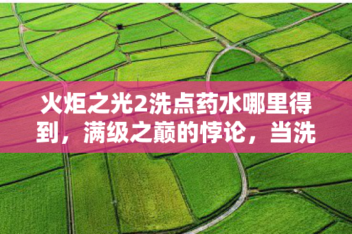 火炬之光2洗点药水哪里得到,满级之巅的悖论,当洗点药水成为灵魂震颤的救赎幻影 火炬之光2洗点药水哪里得到,满级之巅的悖论,当洗点药水成为灵魂震颤的救赎幻影