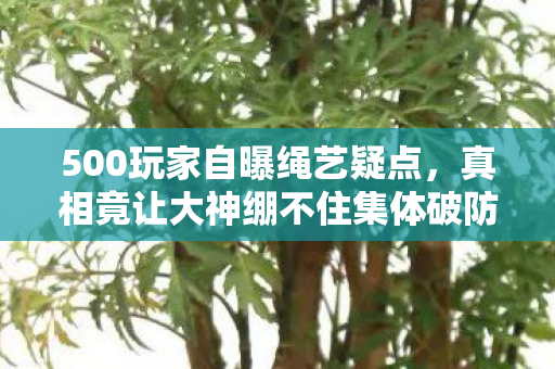 500玩家自曝绳艺疑点,真相竟让大神绷不住集体破防! 500玩家自曝绳艺疑点,真相竟让大神绷不住集体破防!