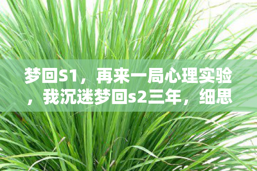 梦回S1，再来一局心理实验，我沉迷梦回s2三年，细思极恐的自我驯化