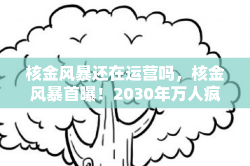 核金风暴还在运营吗,核金风暴首曝!2030年万人疯抢的沉浸体验,为何有人哭着离场? 核金风暴还在运营吗,核金风暴首曝!2030年万人疯抢的沉浸体验,为何有人哭着离场?