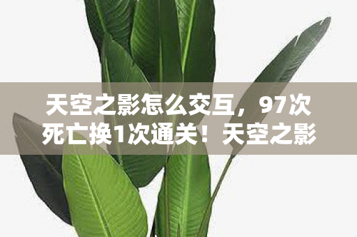 天空之影怎么交互,97次死亡换1次通关!天空之影玩家自曝,这操作让全服破防,背后藏着什么秘密? 天空之影怎么交互,97次死亡换1次通关!天空之影玩家自曝,这操作让全服破防,背后藏着什么秘密?