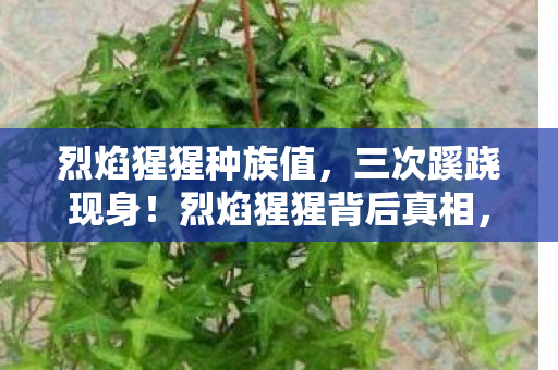 烈焰猩猩种族值，三次蹊跷现身！烈焰猩猩背后真相，让人后背发凉