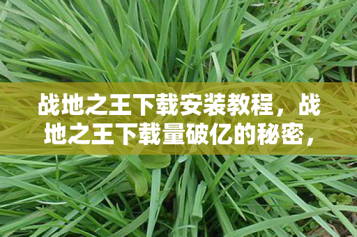 战地之王下载安装教程，战地之王下载量破亿的秘密，这个反常识设计颠覆认知，玩家目瞪口呆！