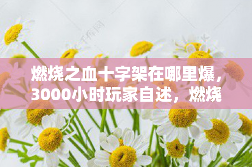 燃烧之血十字架在哪里爆，3000小时玩家自述，燃烧之血十字架背后，谁在为信仰买单？