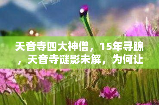 天音寺四大神僧,15年寻踪,天音寺谜影未解,为何让百万玩家泪目? 天音寺四大神僧,15年寻踪,天音寺谜影未解,为何让百万玩家泪目?
