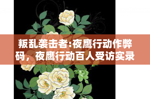 叛乱袭击者:夜鹰行动作弊码，夜鹰行动百人受访实录，神秘消失的装备疑云，大神绷不住当场泪崩