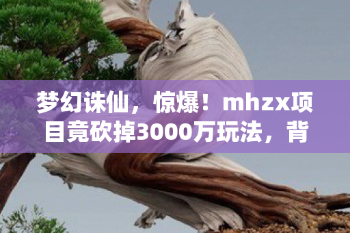 梦幻诛仙，惊爆！mhzx项目竟砍掉3000万玩法，背后隐情让人吓一跳！