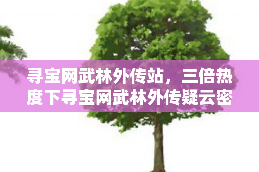 寻宝网武林外传站，三倍热度下寻宝网武林外传疑云密布，玩家心寒谁之过？