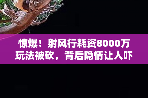 惊爆！射风行耗资8000万玩法被砍，背后隐情让人吓一跳！