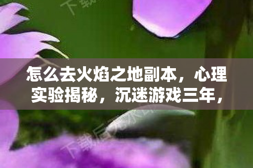 怎么去火焰之地副本，心理实验揭秘，沉迷游戏三年，细思极恐的再来一局陷阱