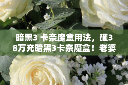 暗黑3 卡奈魔盒用法，砸38万充暗黑3卡奈魔盒！老婆签离婚协议时，我才看清血色账单