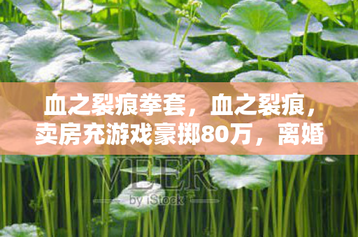 血之裂痕拳套，血之裂痕，卖房充游戏豪掷80万，离婚协议藏惊天隐情！