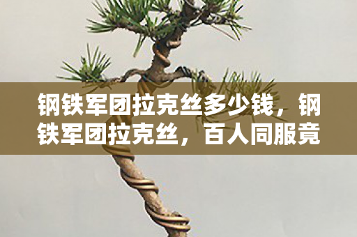 钢铁军团拉克丝多少钱，钢铁军团拉克丝，百人同服竟藏神秘谜团，这波操作让玩家集体破防！