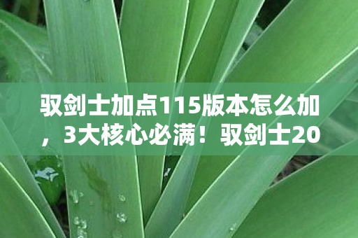驭剑士加点115版本怎么加，3大核心必满！驭剑士2026暴风输出加点实测，手残党也能秒BOSS