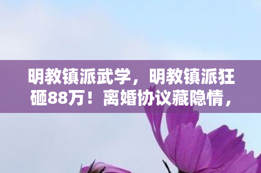 明教镇派武学，明教镇派狂砸88万！离婚协议藏隐情，妻子举动让我吓一跳！