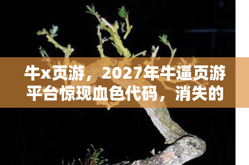 牛x页游,2027年牛逼页游平台惊现血色代码,消失的GM与永不结束的午夜轮回 牛x页游,2027年牛逼页游平台惊现血色代码,消失的GM与永不结束的午夜轮回