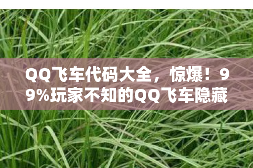 QQ飞车代码大全，惊爆！99%玩家不知的QQ飞车隐藏代码，解锁后飙车快到离谱？
