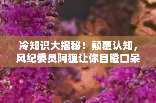 冷知识大揭秘！颠覆认知，风纪委员阿狸让你目瞪口呆的游戏设计