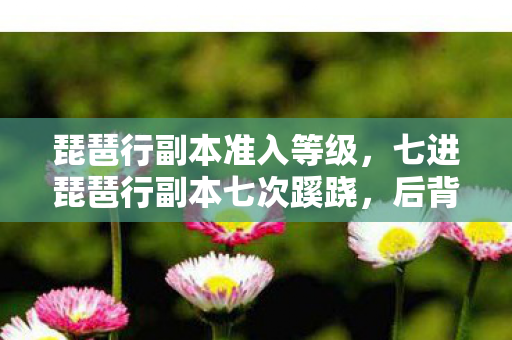 琵琶行副本准入等级，七进琵琶行副本七次蹊跷，后背发凉，十年逃亡竟是场荒诞戏码