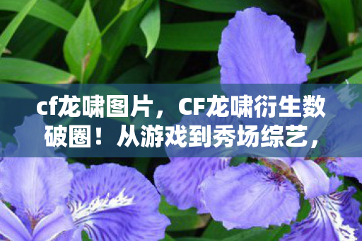 cf龙啸图片，CF龙啸衍生数破圈！从游戏到秀场综艺，这波跨界意想不到！