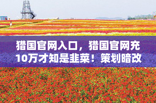 猎国官网入口，猎国官网充10万才知是韭菜！策划暗改爆率+隐藏保底，这操作吓掉下巴！
