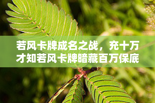若风卡牌成名之战，充十万才知若风卡牌暗藏百万保底隐情，这操作真让人吓一跳！
