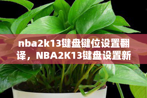 nba2k13键盘键位设置翻译，NBA2K13键盘设置新玩法，衍生数破圈，游戏元素竟爬进你妈手机壳！