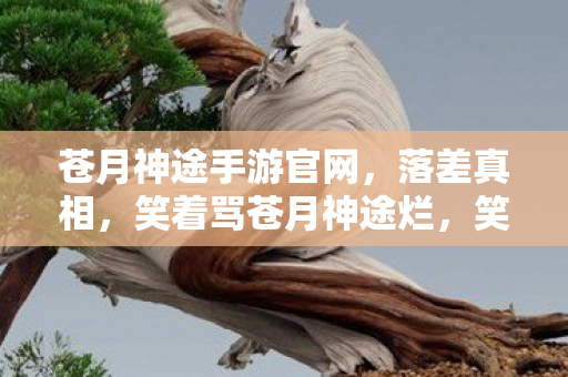 苍月神途手游官网，落差真相，笑着骂苍月神途烂，笑着笑着竟哭了！