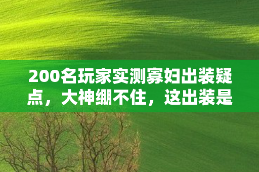 200名玩家实测寡妇出装疑点，大神绷不住，这出装是来搞笑的？