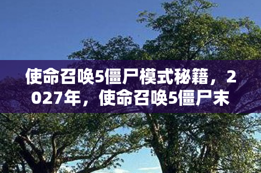 使命召唤5僵尸模式秘籍，2027年，使命召唤5僵尸末路，伏笔里藏着谁也删不掉的别走