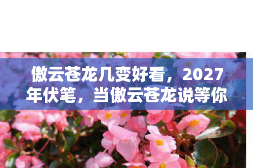 傲云苍龙几变好看，2027年伏笔，当傲云苍龙说等你，我竟在凌晨三点鼻子一酸