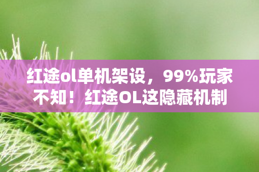 红途ol单机架设，99%玩家不知！红途OL这隐藏机制竟让战力飙升300%？真相太炸裂！