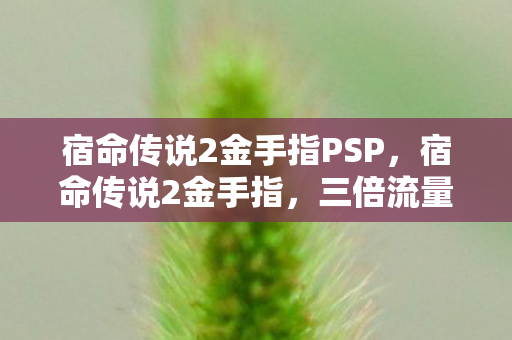 宿命传说2金手指PSP，宿命传说2金手指，三倍流量疑云下，谁在让玩家心寒？