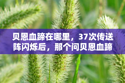 贝恩血蹄在哪里，37次传送阵闪烁后，那个问贝恩血蹄在哪的萌新，把服务器哭崩了